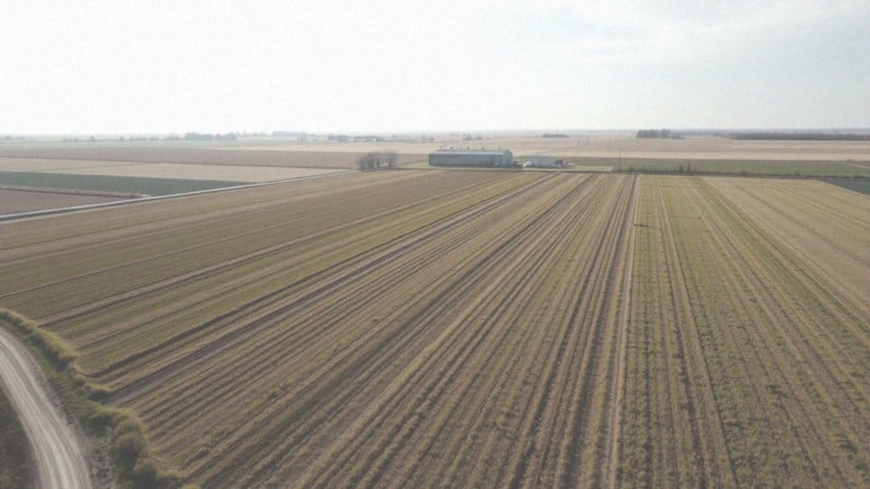 Jakie są sankcje za nieprzestrzeganie norm GAEC?