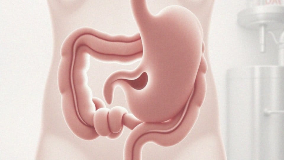 Jakodźwiernik wpływa na perystaltykę żołądka?