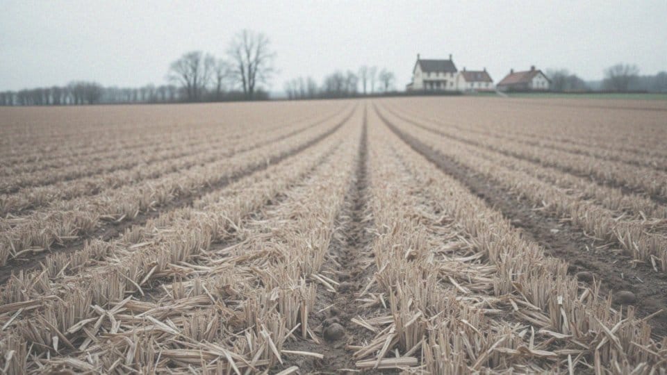 Jak długo należy utrzymywać okrywę ochronną gleby zgodnie z GAEC 6?