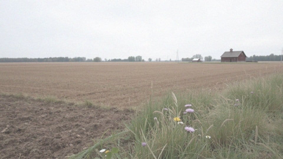 Czy ugorowanie jest obowiązkowe? Nowe regulacje w 2024 roku