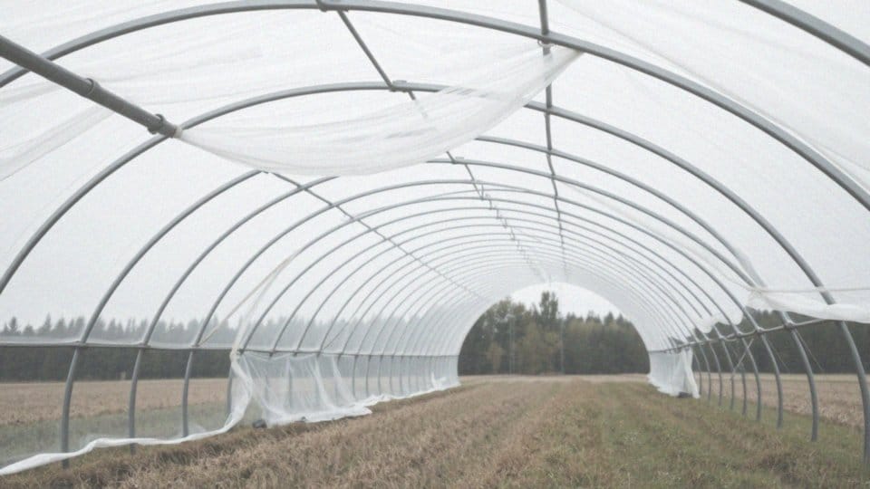 Pasy do tunelu foliowego – kluczowy element stabilizacji i ochrony