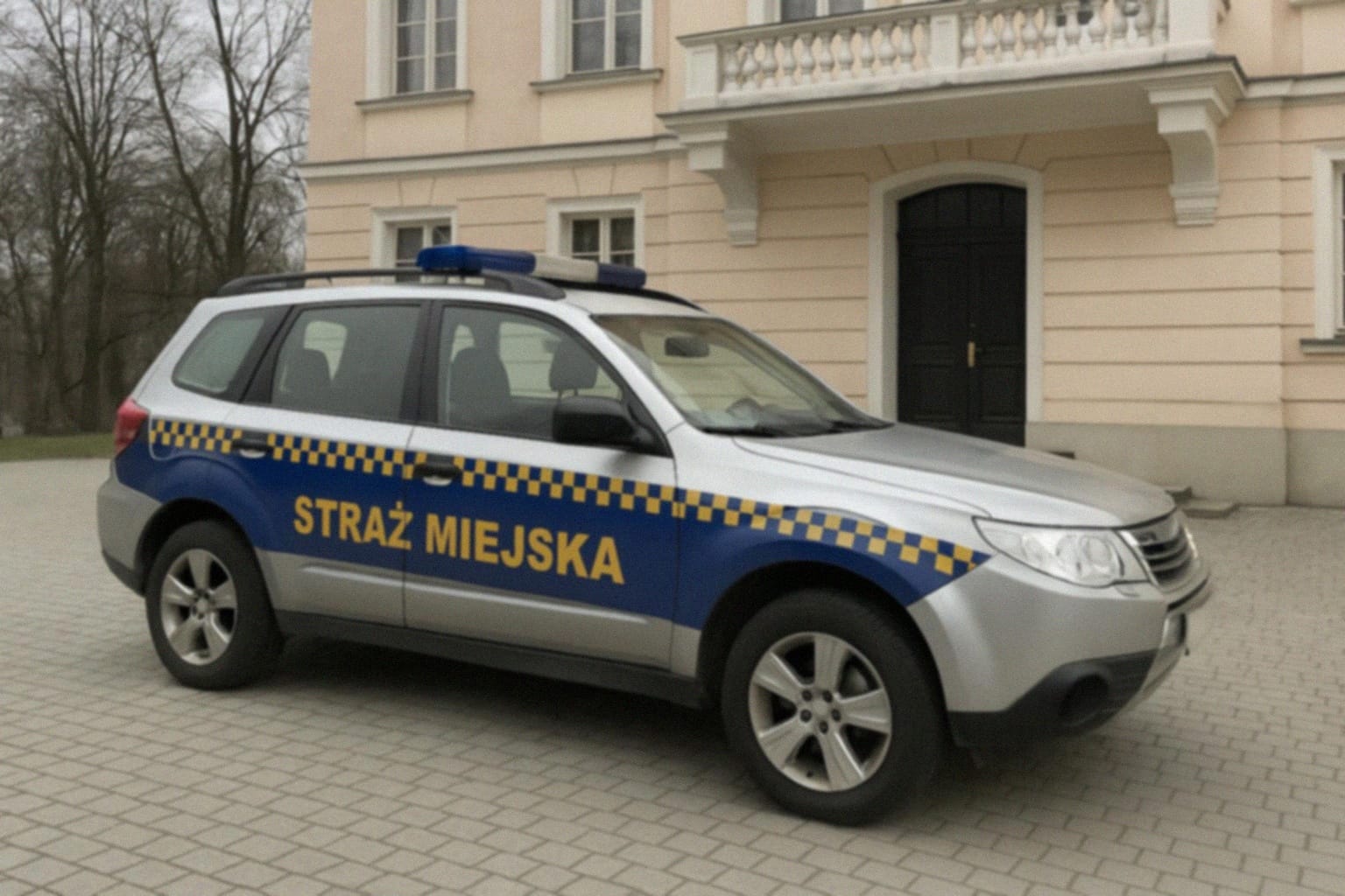 Działania Straży Miejskiej w Luboniu w lutym 2026 roku