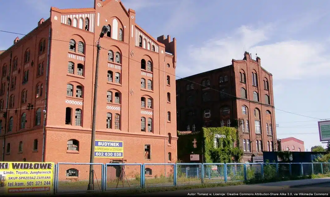 Wspólne sprzątanie Kocich Dołów w Luboniu w ramach Operacji Czysta Rzeka