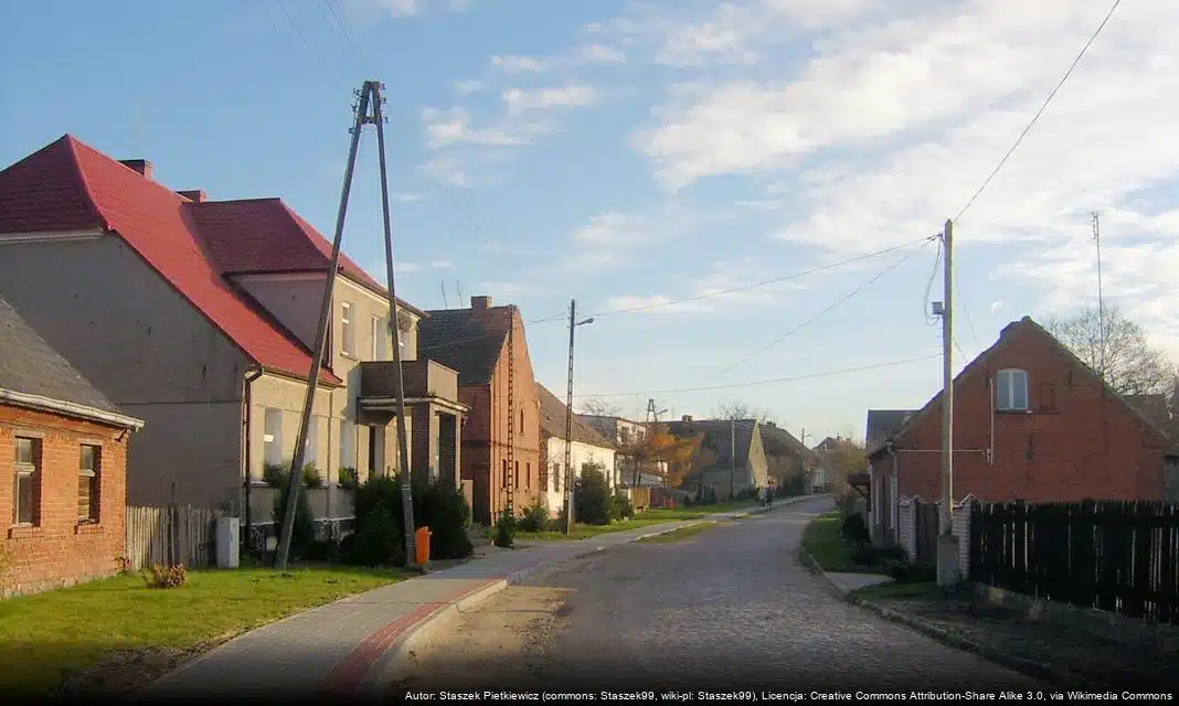 Zielony Rekord Lubonia 2026 – mieszkańcy zaproszeni do działania